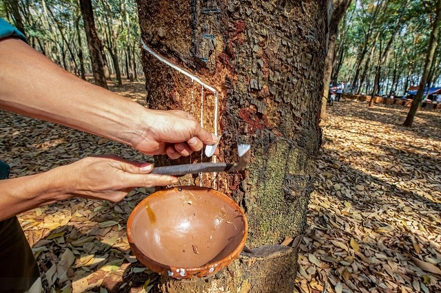 Đại hội bất thường DRG: Đổi mô hình quản trị, bãi bỏ Ban kiểm soát