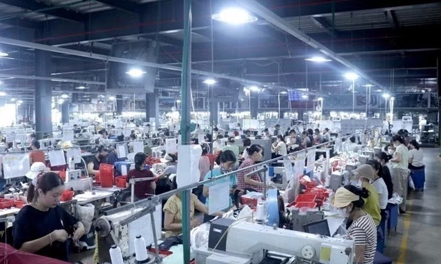 EU nâng chuẩn xuất khẩu, doanh nghiệp Việt cần chủ động thích ứng