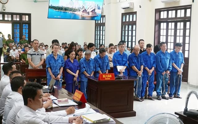 Nguyên Tổng giám đốc Công ty CP Đồ hộp Hạ Long lĩnh 19 năm tù