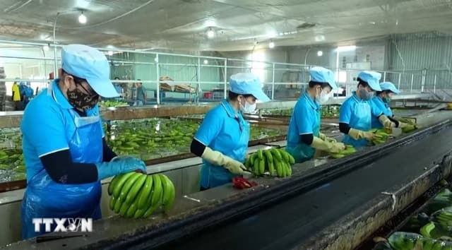 Gia Lai đặt mục tiêu có 60.000 - 65.000 doanh nghiệp hoạt động vào năm 2030