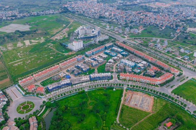 SJS làm một quý kiếm lãi gần bằng 6 năm, cổ phiếu tăng trần