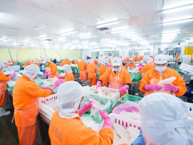 Lãi quý 3 của ANV tiếp tục giảm do giá vốn leo thang